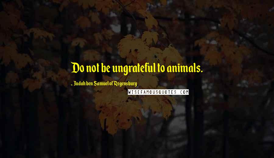 Judah Ben Samuel Of Regensburg Quotes: Do not be ungrateful to animals.