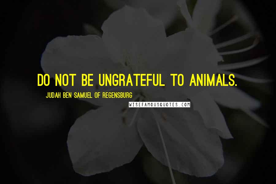 Judah Ben Samuel Of Regensburg Quotes: Do not be ungrateful to animals.