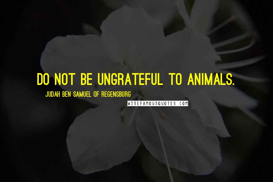 Judah Ben Samuel Of Regensburg Quotes: Do not be ungrateful to animals.