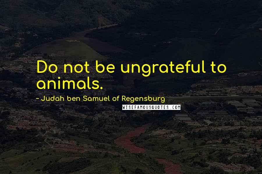 Judah Ben Samuel Of Regensburg Quotes: Do not be ungrateful to animals.