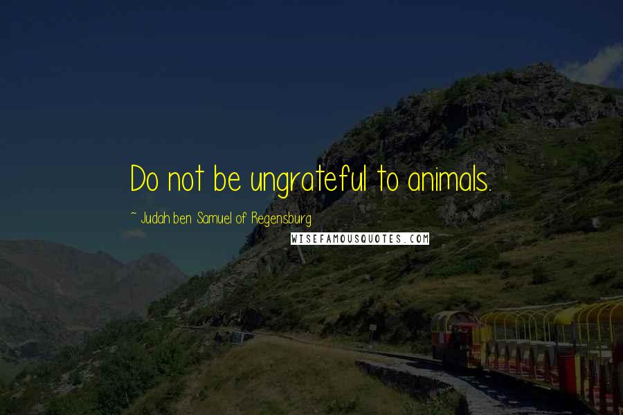 Judah Ben Samuel Of Regensburg Quotes: Do not be ungrateful to animals.