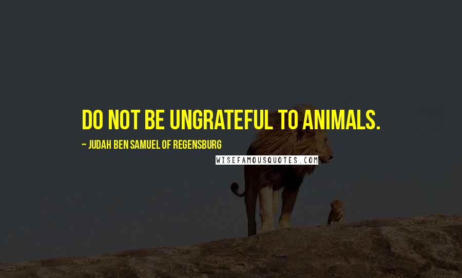 Judah Ben Samuel Of Regensburg Quotes: Do not be ungrateful to animals.