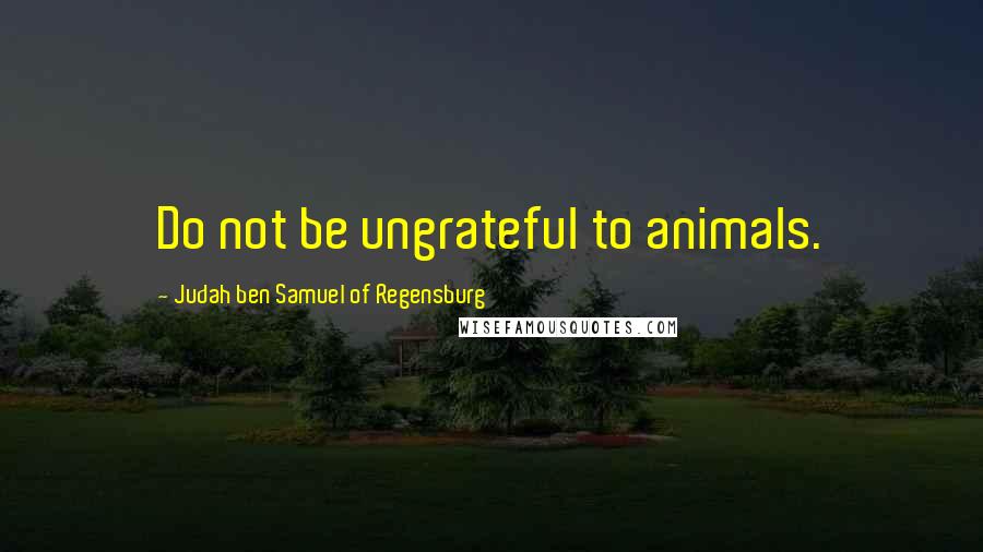 Judah Ben Samuel Of Regensburg Quotes: Do not be ungrateful to animals.