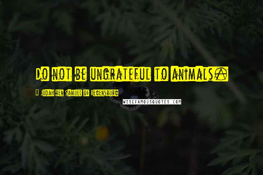 Judah Ben Samuel Of Regensburg Quotes: Do not be ungrateful to animals.