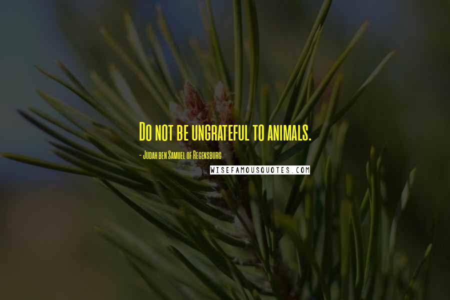 Judah Ben Samuel Of Regensburg Quotes: Do not be ungrateful to animals.