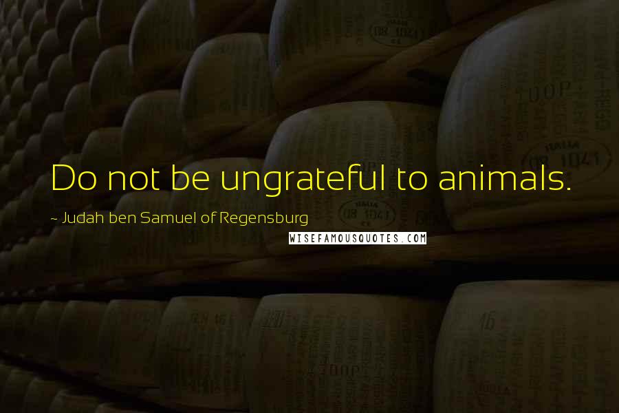 Judah Ben Samuel Of Regensburg Quotes: Do not be ungrateful to animals.
