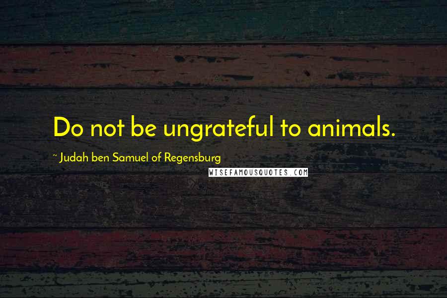 Judah Ben Samuel Of Regensburg Quotes: Do not be ungrateful to animals.