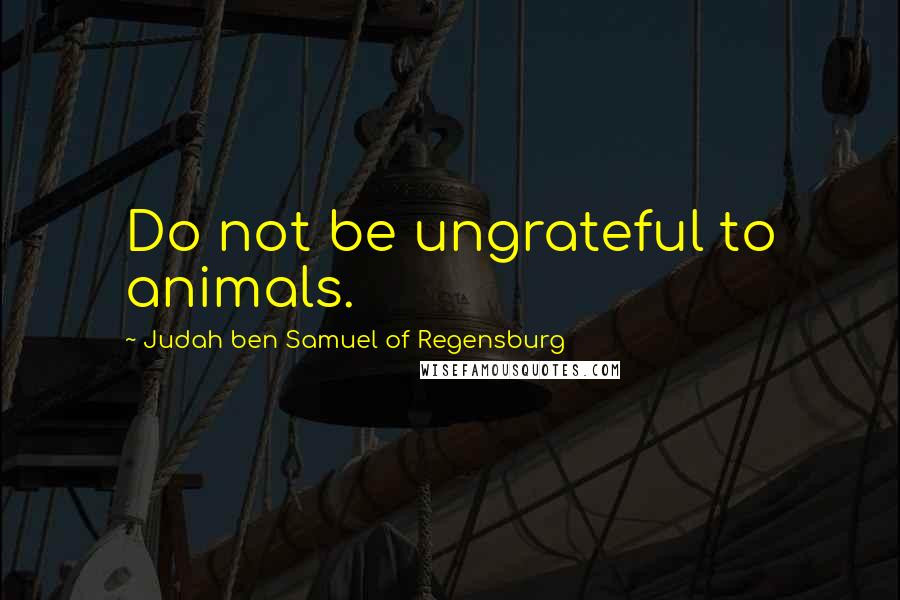 Judah Ben Samuel Of Regensburg Quotes: Do not be ungrateful to animals.