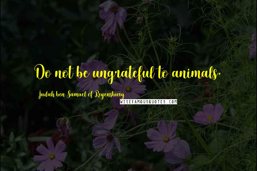 Judah Ben Samuel Of Regensburg Quotes: Do not be ungrateful to animals.