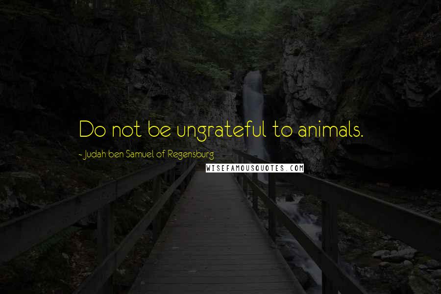 Judah Ben Samuel Of Regensburg Quotes: Do not be ungrateful to animals.