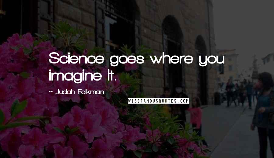 Judah Folkman Quotes: Science goes where you imagine it.