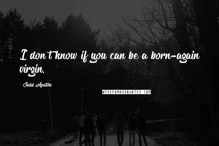 Judd Apatow Quotes: I don't know if you can be a born-again virgin.