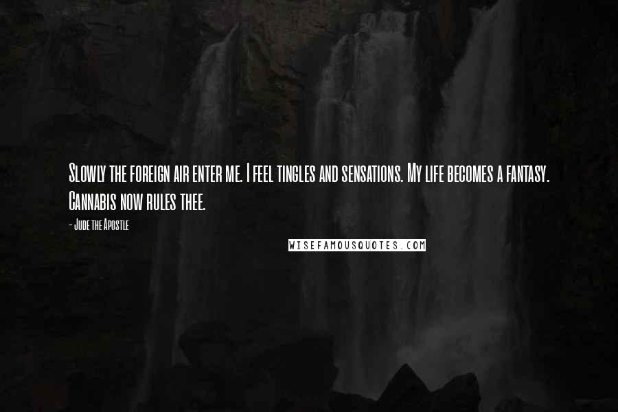 Jude The Apostle Quotes: Slowly the foreign air enter me. I feel tingles and sensations. My life becomes a fantasy. Cannabis now rules thee.