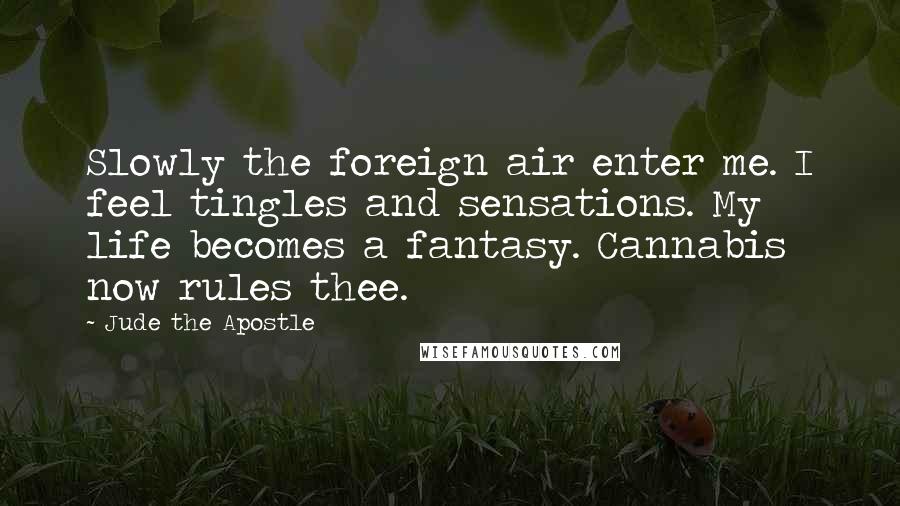 Jude The Apostle Quotes: Slowly the foreign air enter me. I feel tingles and sensations. My life becomes a fantasy. Cannabis now rules thee.