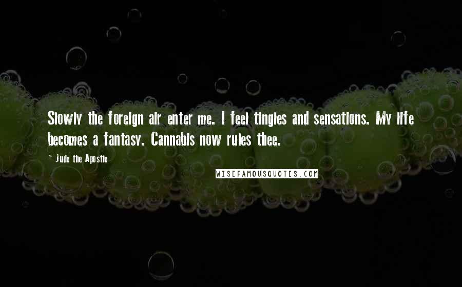 Jude The Apostle Quotes: Slowly the foreign air enter me. I feel tingles and sensations. My life becomes a fantasy. Cannabis now rules thee.