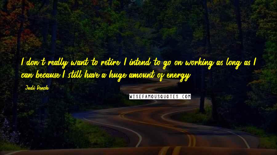 Judi Dench Quotes: I don't really want to retire. I intend to go on working as long as I can because I still have a huge amount of energy.