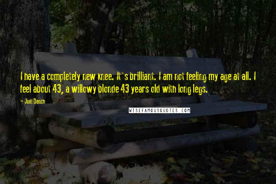 Judi Dench Quotes: I have a completely new knee. It's brilliant. I am not feeling my age at all. I feel about 43, a willowy blonde 43 years old with long legs.
