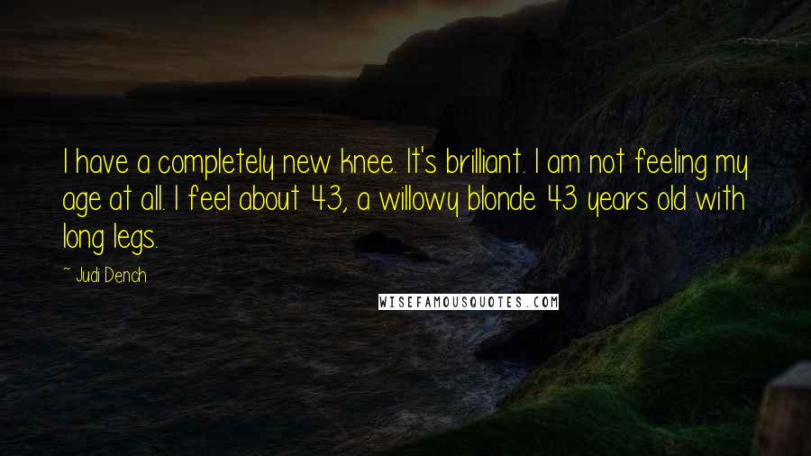 Judi Dench Quotes: I have a completely new knee. It's brilliant. I am not feeling my age at all. I feel about 43, a willowy blonde 43 years old with long legs.