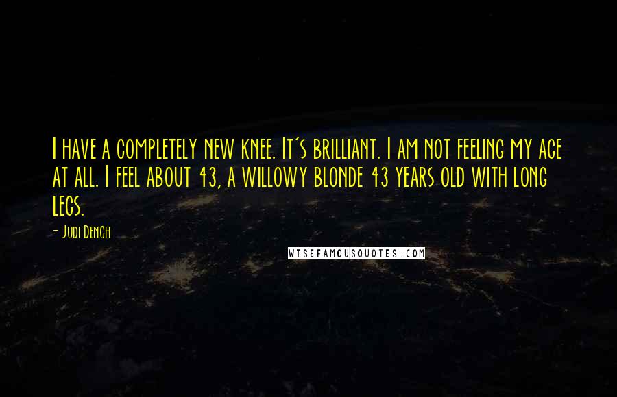 Judi Dench Quotes: I have a completely new knee. It's brilliant. I am not feeling my age at all. I feel about 43, a willowy blonde 43 years old with long legs.
