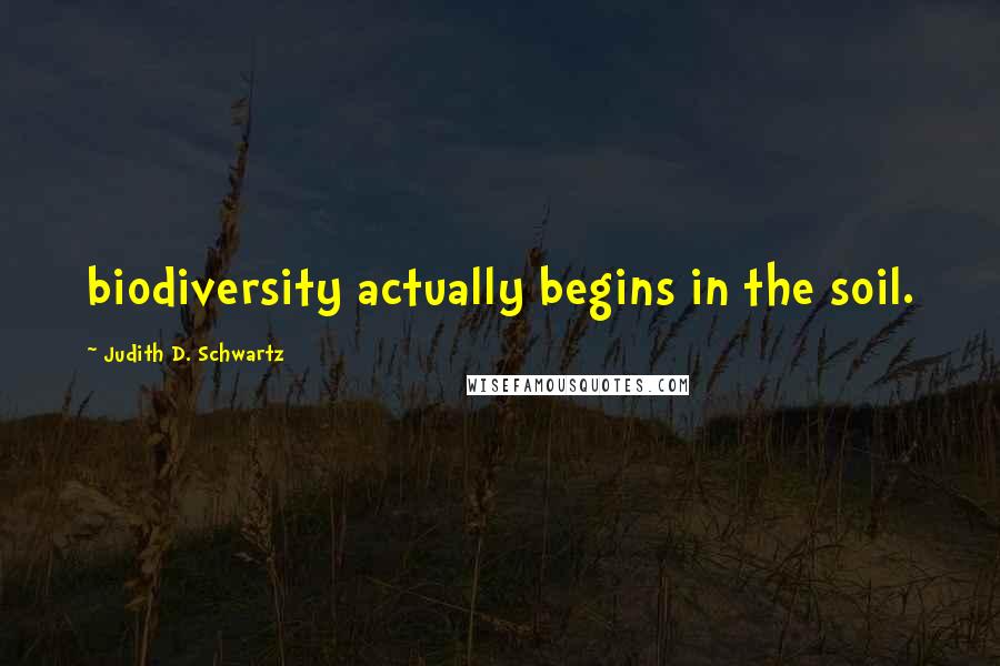 Judith D. Schwartz Quotes: biodiversity actually begins in the soil.