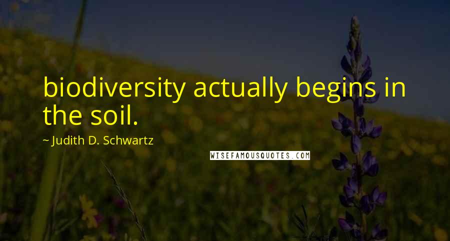 Judith D. Schwartz Quotes: biodiversity actually begins in the soil.