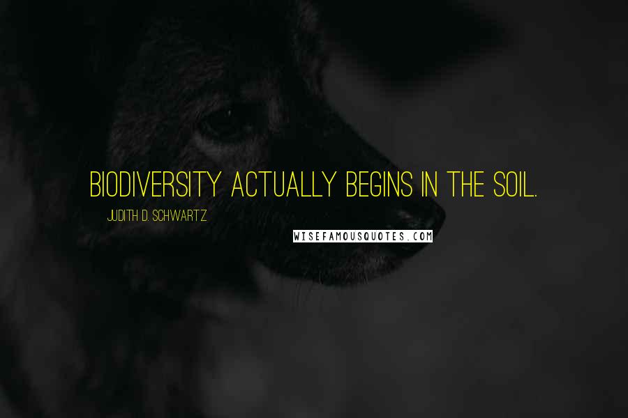 Judith D. Schwartz Quotes: biodiversity actually begins in the soil.