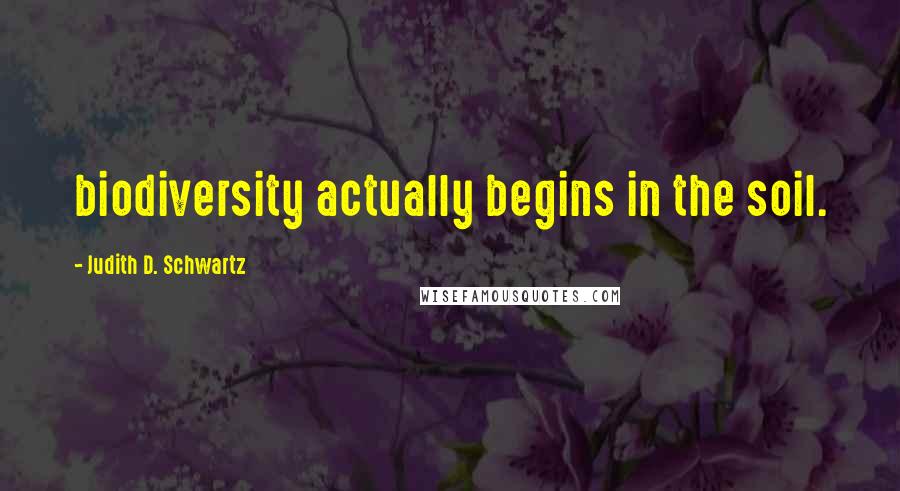 Judith D. Schwartz Quotes: biodiversity actually begins in the soil.