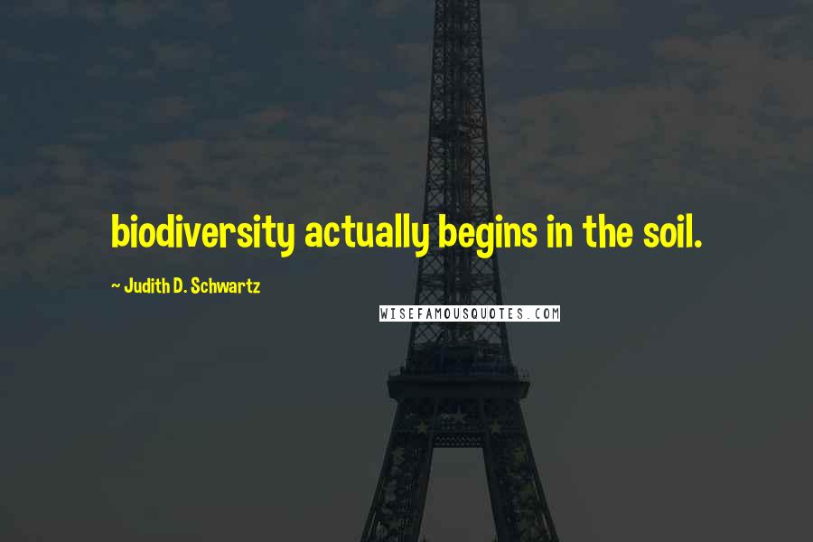 Judith D. Schwartz Quotes: biodiversity actually begins in the soil.