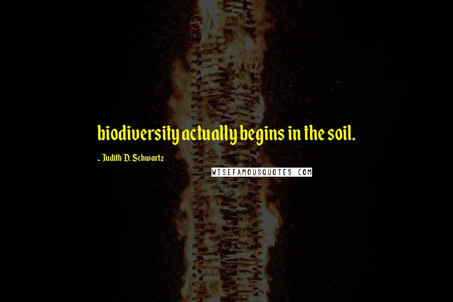 Judith D. Schwartz Quotes: biodiversity actually begins in the soil.