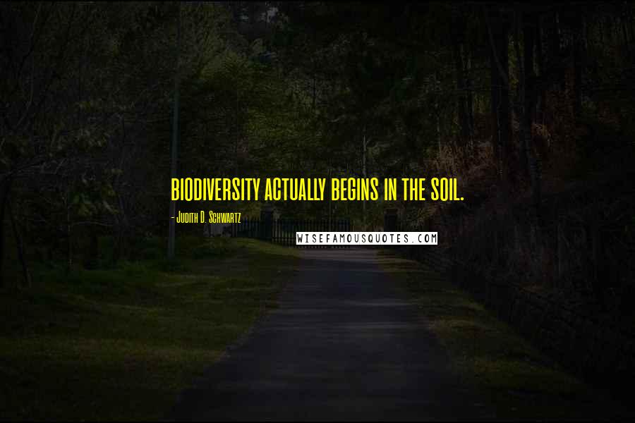 Judith D. Schwartz Quotes: biodiversity actually begins in the soil.