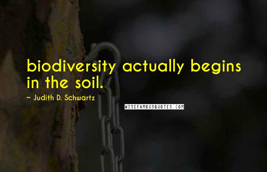 Judith D. Schwartz Quotes: biodiversity actually begins in the soil.