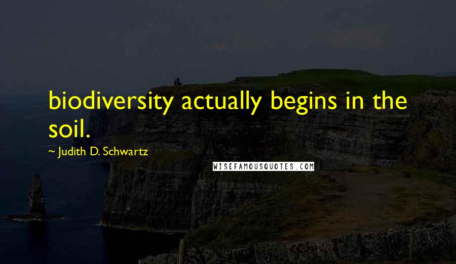 Judith D. Schwartz Quotes: biodiversity actually begins in the soil.