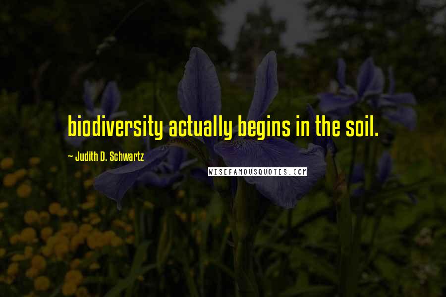 Judith D. Schwartz Quotes: biodiversity actually begins in the soil.