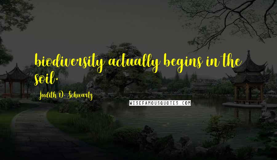 Judith D. Schwartz Quotes: biodiversity actually begins in the soil.