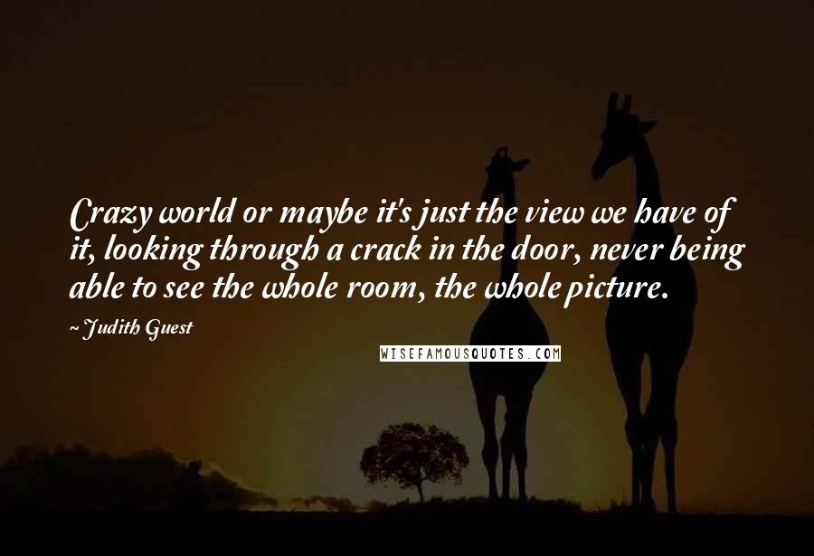 Judith Guest Quotes: Crazy world or maybe it's just the view we have of it, looking through a crack in the door, never being able to see the whole room, the whole picture.