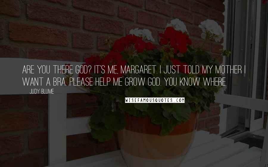 Judy Blume Quotes: Are you there God? It's me, Margaret. I just told my mother I want a bra. Please help me grow God. You know where.