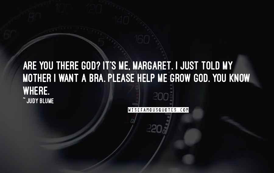 Judy Blume Quotes: Are you there God? It's me, Margaret. I just told my mother I want a bra. Please help me grow God. You know where.