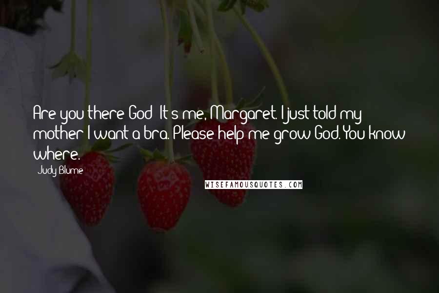 Judy Blume Quotes: Are you there God? It's me, Margaret. I just told my mother I want a bra. Please help me grow God. You know where.