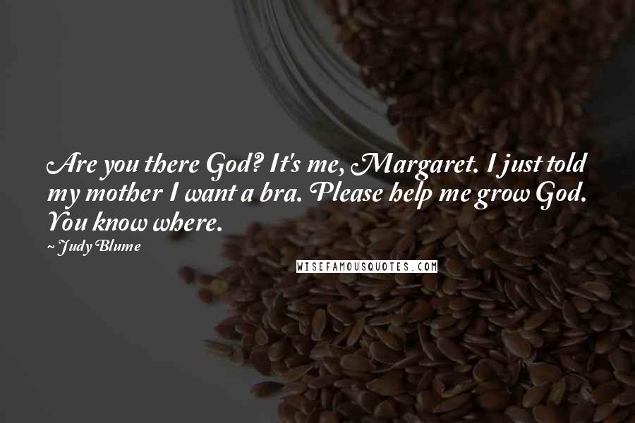 Judy Blume Quotes: Are you there God? It's me, Margaret. I just told my mother I want a bra. Please help me grow God. You know where.