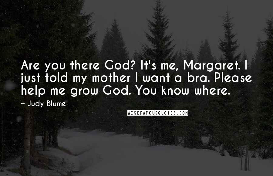 Judy Blume Quotes: Are you there God? It's me, Margaret. I just told my mother I want a bra. Please help me grow God. You know where.