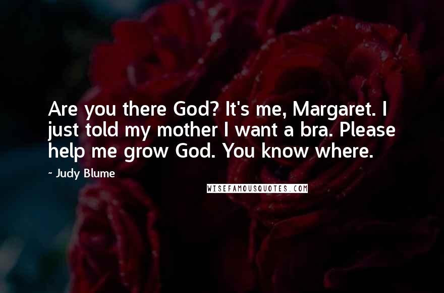 Judy Blume Quotes: Are you there God? It's me, Margaret. I just told my mother I want a bra. Please help me grow God. You know where.