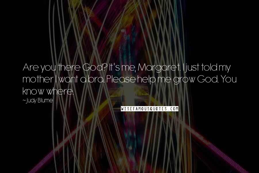 Judy Blume Quotes: Are you there God? It's me, Margaret. I just told my mother I want a bra. Please help me grow God. You know where.