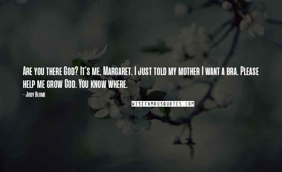 Judy Blume Quotes: Are you there God? It's me, Margaret. I just told my mother I want a bra. Please help me grow God. You know where.