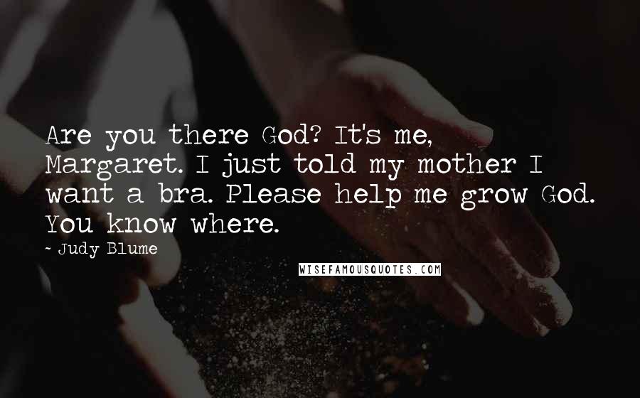 Judy Blume Quotes: Are you there God? It's me, Margaret. I just told my mother I want a bra. Please help me grow God. You know where.