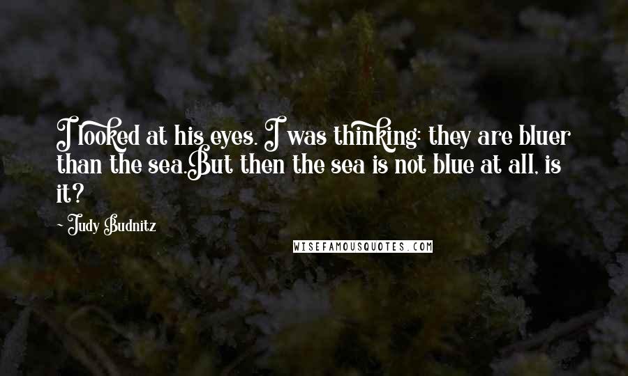 Judy Budnitz Quotes: I looked at his eyes. I was thinking: they are bluer than the sea.But then the sea is not blue at all, is it?