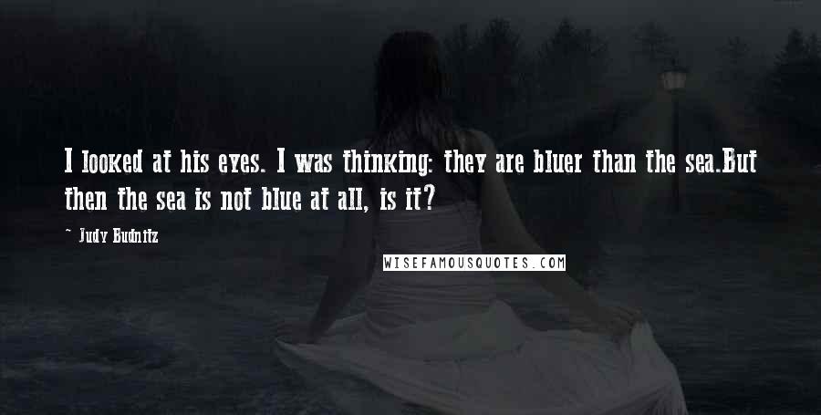 Judy Budnitz Quotes: I looked at his eyes. I was thinking: they are bluer than the sea.But then the sea is not blue at all, is it?