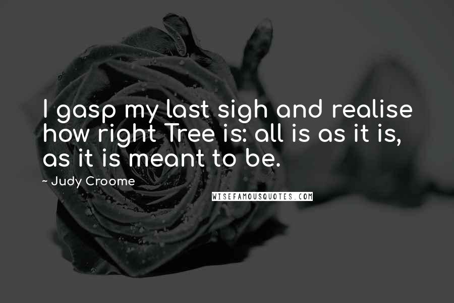 Judy Croome Quotes: I gasp my last sigh and realise how right Tree is: all is as it is, as it is meant to be.