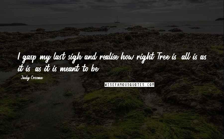 Judy Croome Quotes: I gasp my last sigh and realise how right Tree is: all is as it is, as it is meant to be.