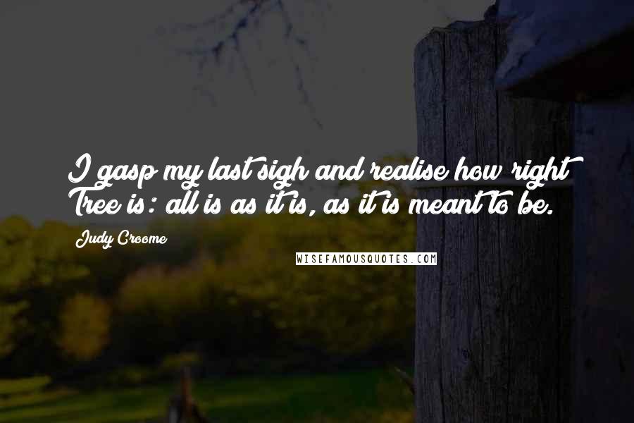 Judy Croome Quotes: I gasp my last sigh and realise how right Tree is: all is as it is, as it is meant to be.