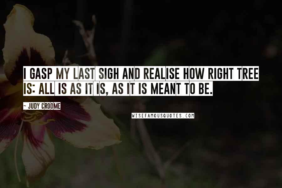 Judy Croome Quotes: I gasp my last sigh and realise how right Tree is: all is as it is, as it is meant to be.